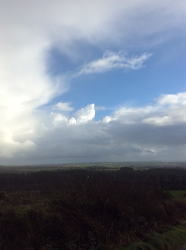 b0110999_21332460.jpeg