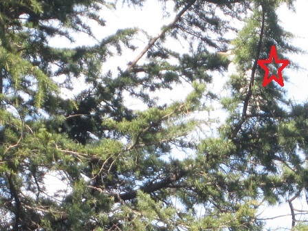 c0152002_18050749.jpg