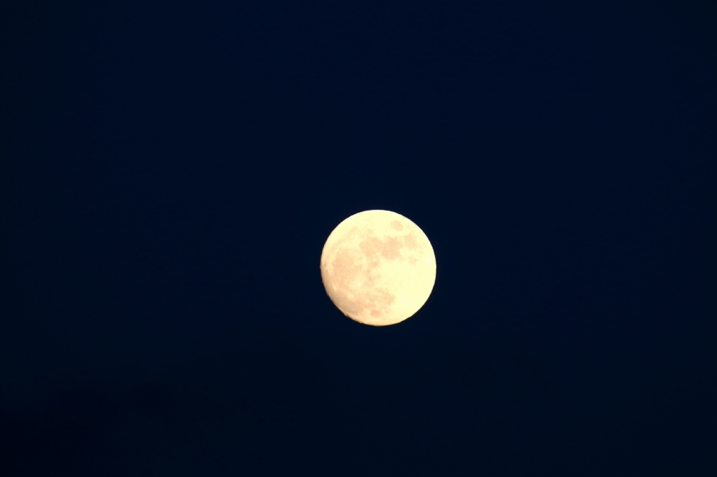 a0188405_10550551.jpg