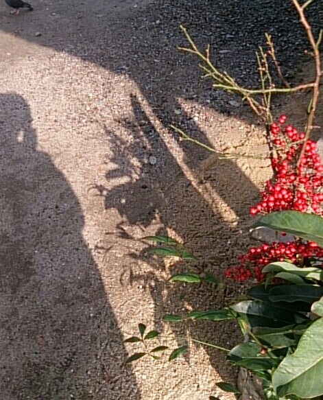 a0216805_09471637.jpg