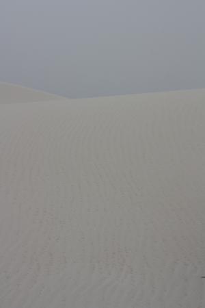 a0268315_6353821.jpg