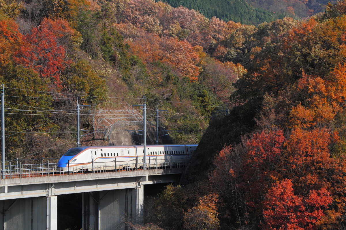 e0157717_18315911.jpg