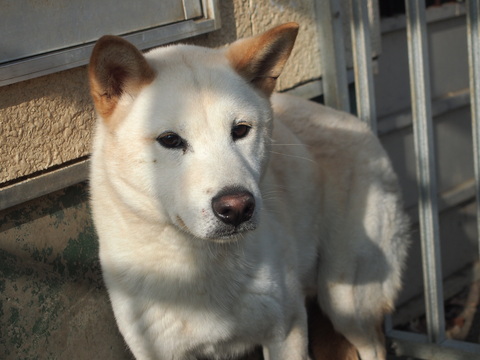 f0078320_0465194.jpg