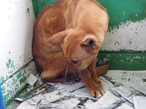 f0078320_0593324.jpg