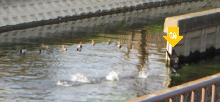 c0280322_13212693.jpg