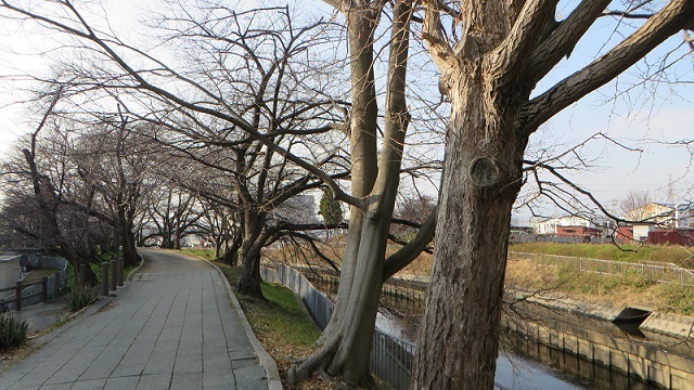 c0280322_13344446.jpg