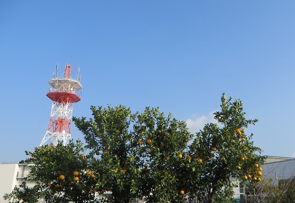 c0280322_13362791.jpg