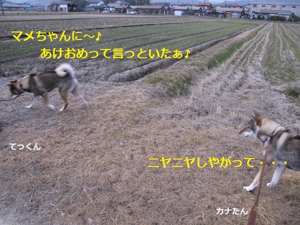 f0143123_08522188.jpg