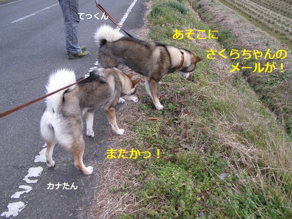f0143123_09085336.jpg