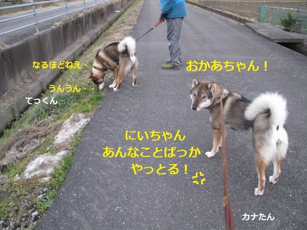 f0143123_09110329.jpg