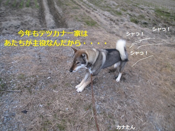 f0143123_09115168.jpg