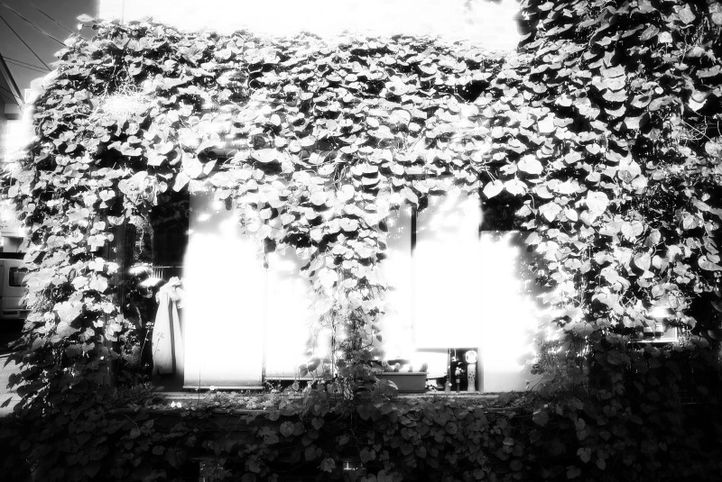 c0109827_16442790.jpg