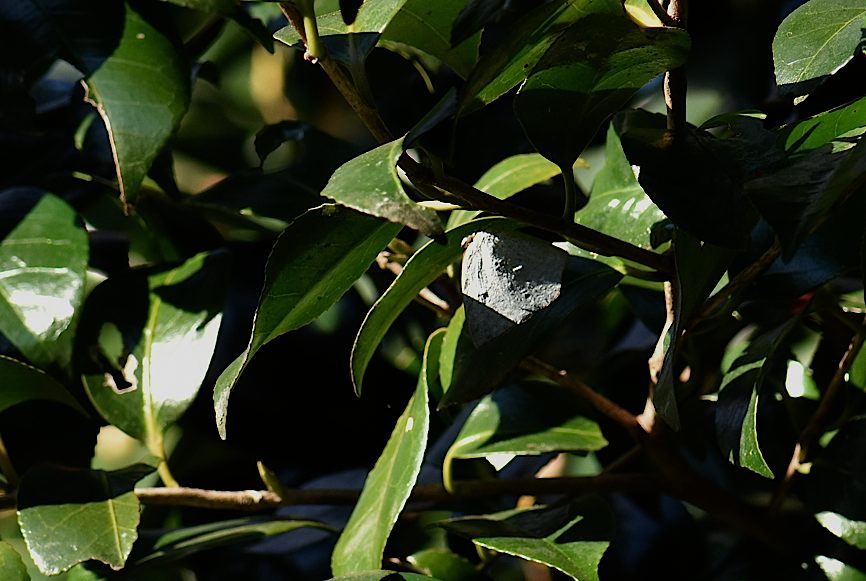 d0303129_1420957.jpg