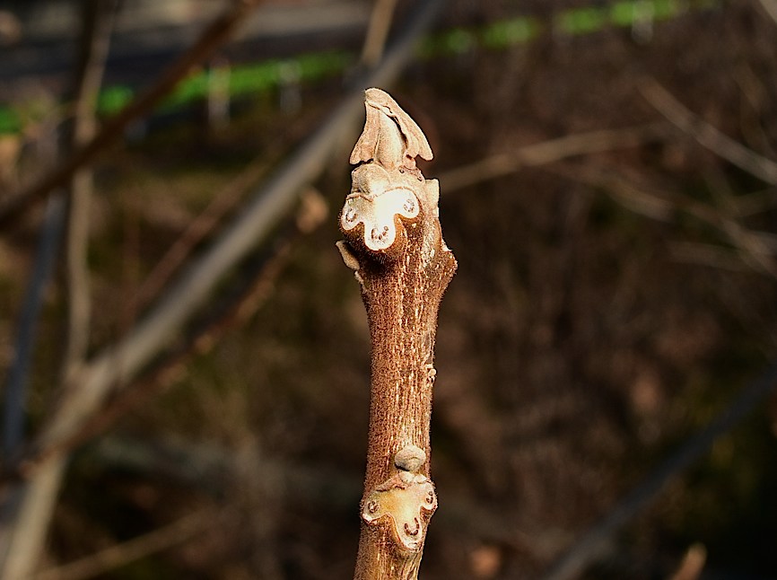 d0303129_14214723.jpg