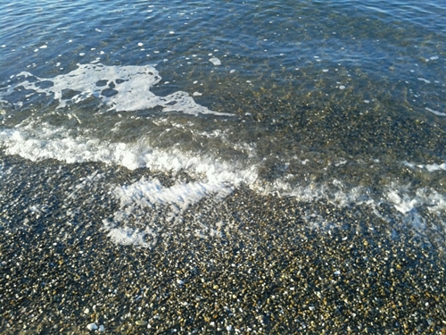f0034334_23381575.jpg