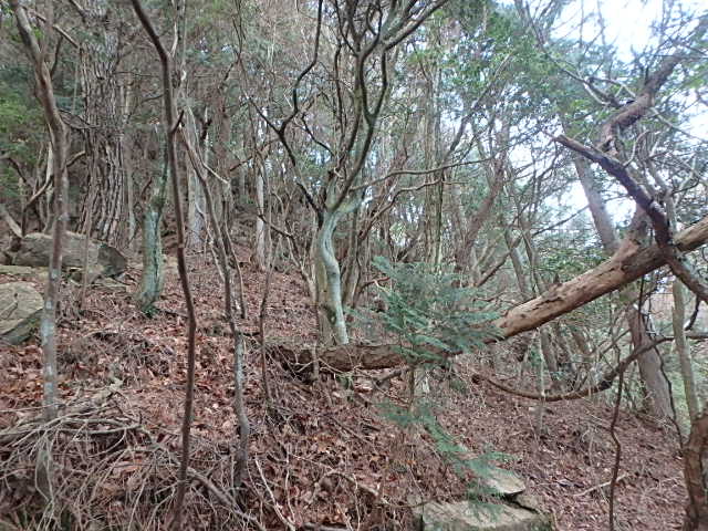 f0334143_12364471.jpg