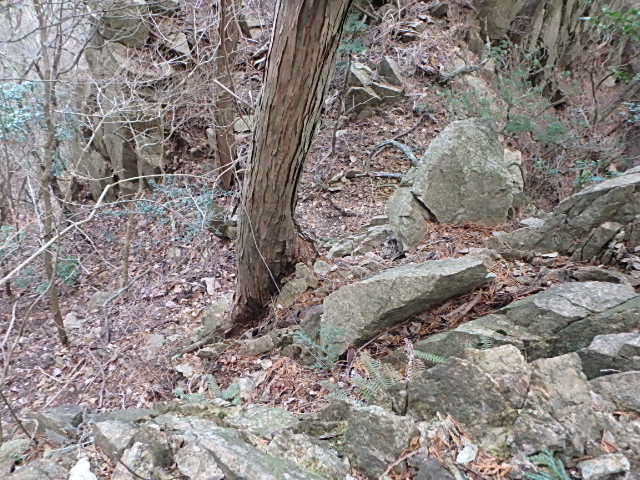 f0334143_12372029.jpg