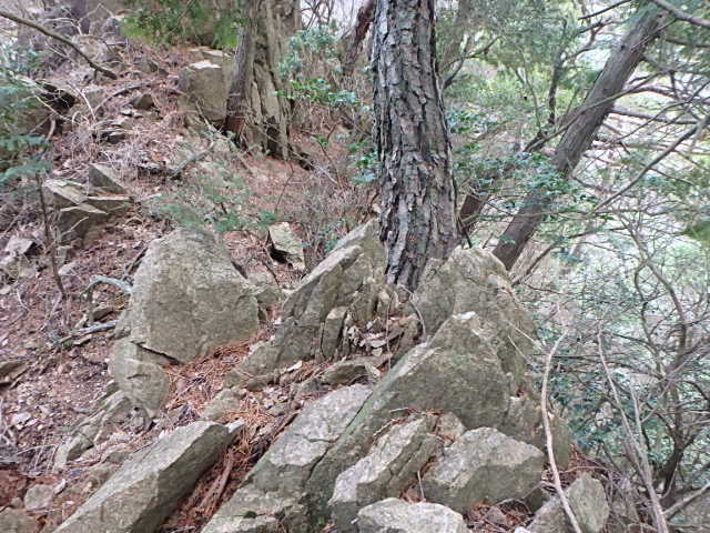 f0334143_12373276.jpg
