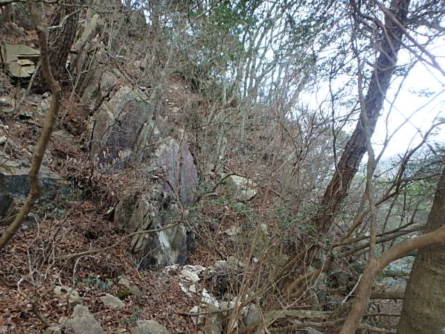f0334143_12411092.jpg