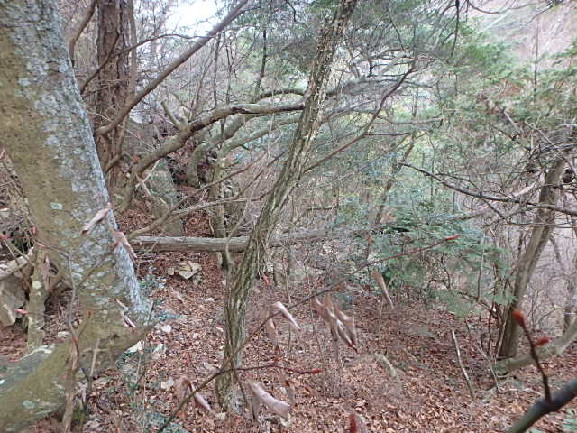 f0334143_12412247.jpg