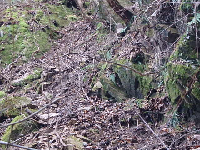 f0334143_12475090.jpg