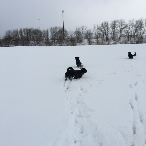 f0095152_06470343.jpeg