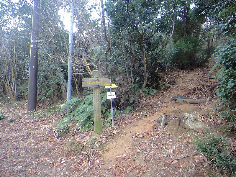 b0234354_77055.jpg