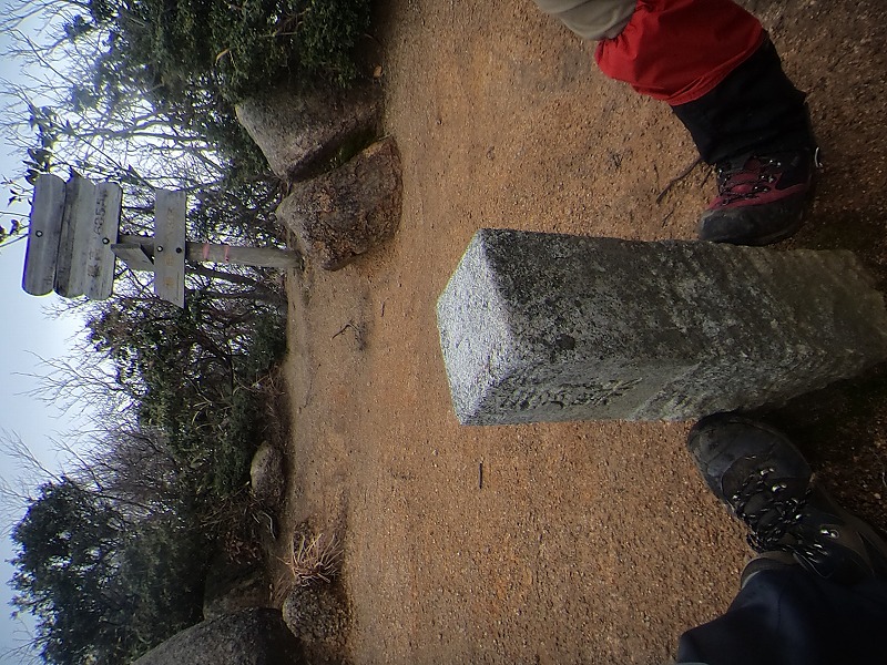 b0234354_785841.jpg