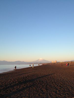 e0217871_1541536.jpg