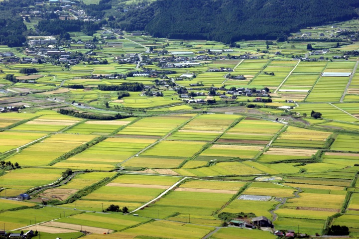 c0248473_1433328.jpg