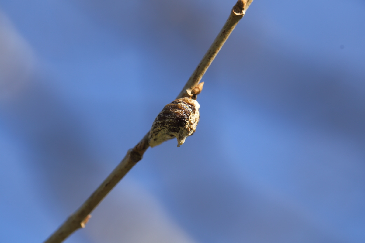e0249878_23430301.jpg