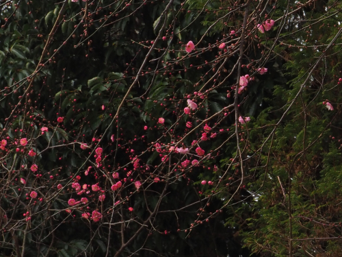 f0357183_20134271.jpg