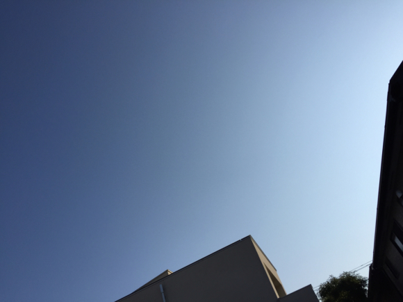 d0135694_17023846.jpg