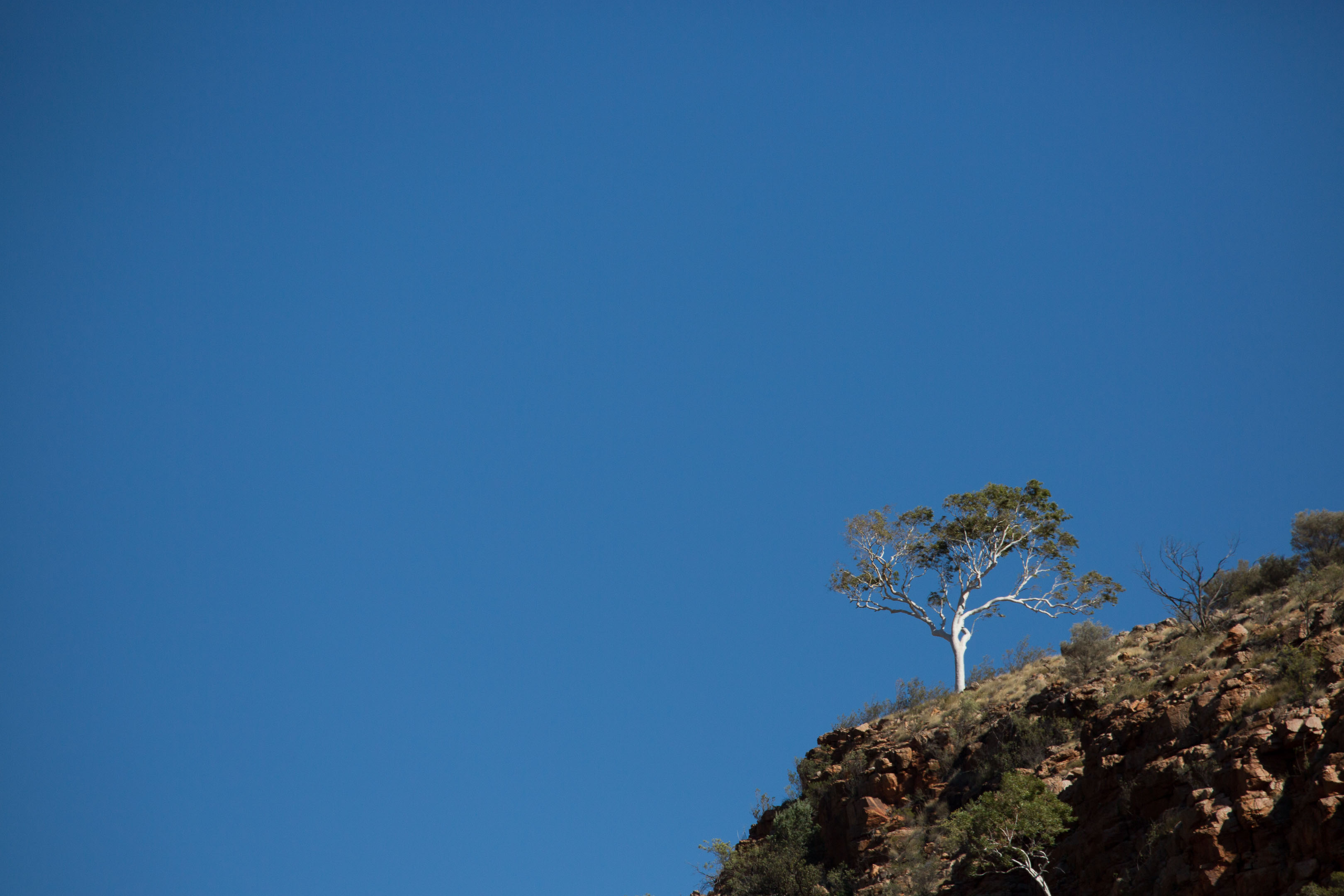 c0248100_20451916.jpg