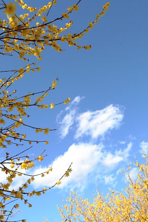 a0251508_21454720.jpg