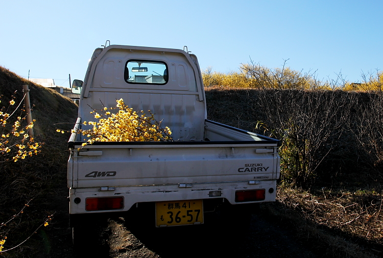 a0251508_21485591.jpg