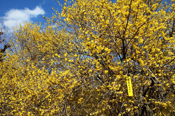 a0251508_2240592.jpg