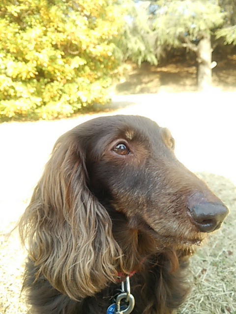 c0150520_13511591.jpg