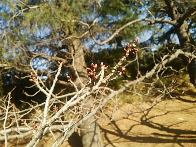 c0150520_13571039.jpg