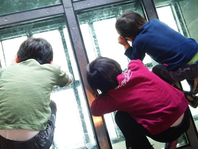 c0236527_0112591.jpg