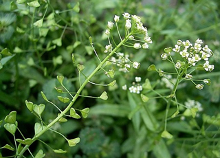 b0325640_1329655.jpg