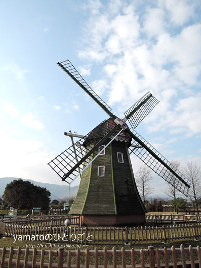 a0286855_631640.jpg
