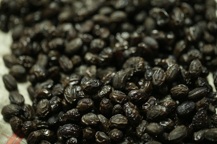 b0319369_20363340.jpg