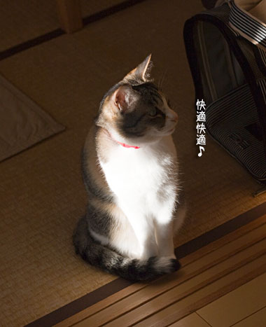 a0119470_2351343.jpg
