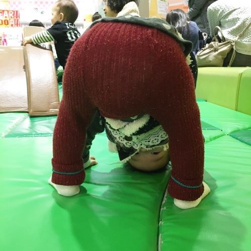 d0041575_21523871.jpeg