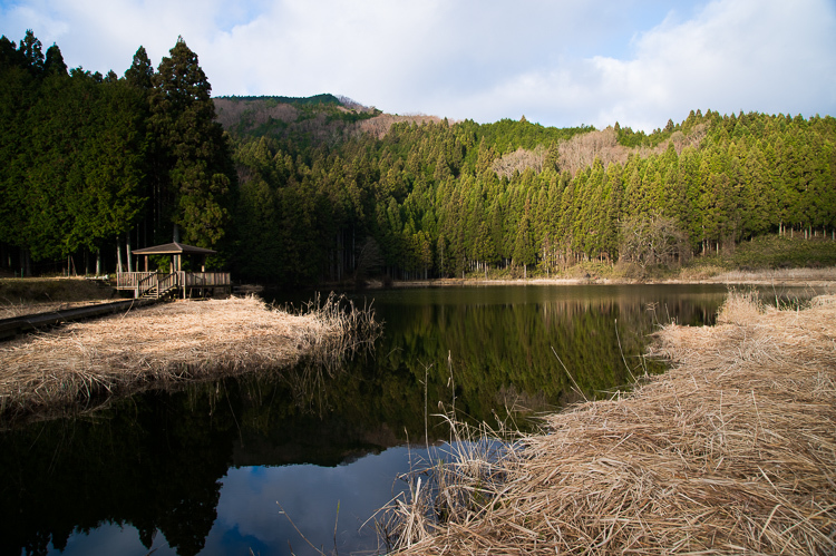 a0301676_06201599.jpg
