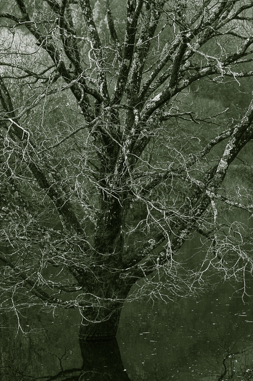 a0301676_13264222.jpg