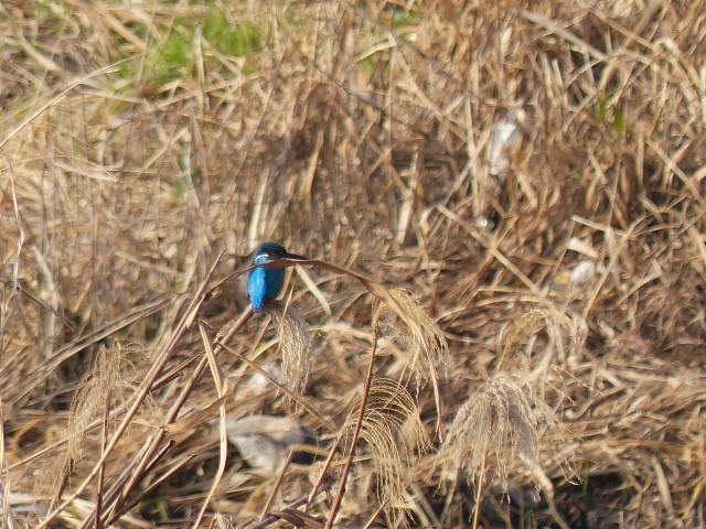 f0357487_21563272.jpg