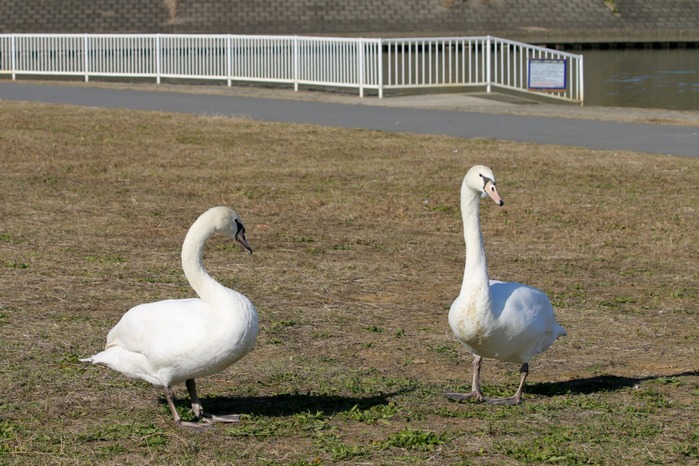 a0127090_21134848.jpg