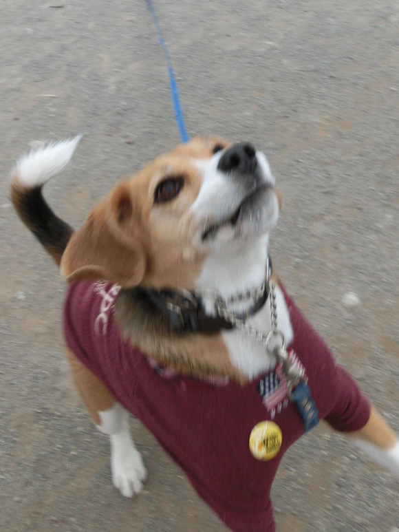 a0319693_940465.jpg